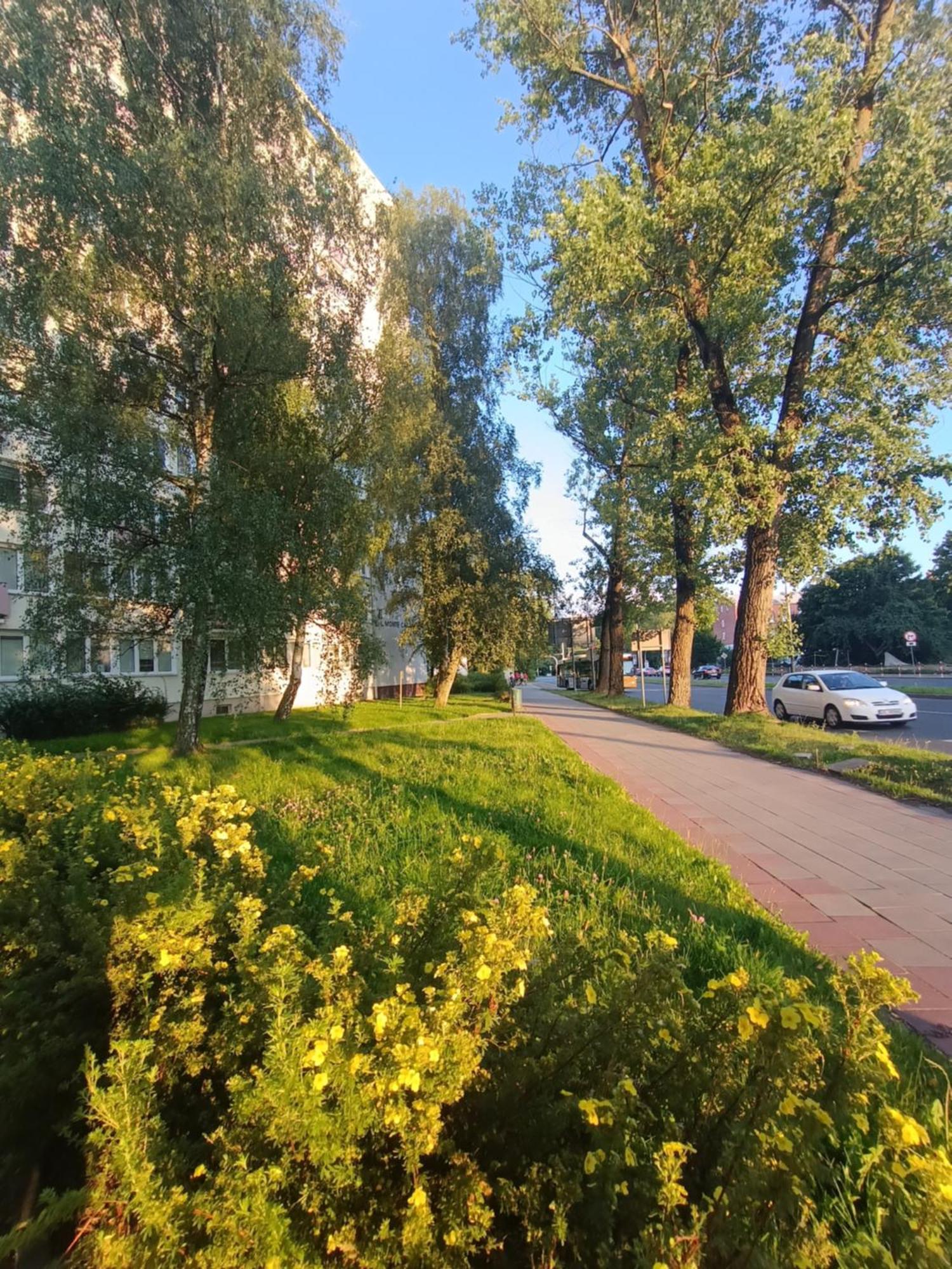 Retro Apartament Blisko Parku Koszalin Exteriör bild